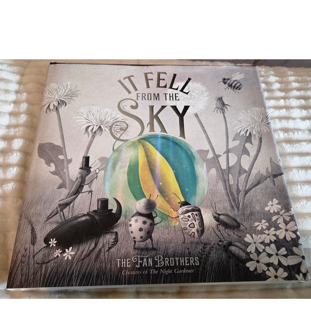 The Fan Brothers It Fell From the Sky Hardcover Picture Book Whimsical Art OS